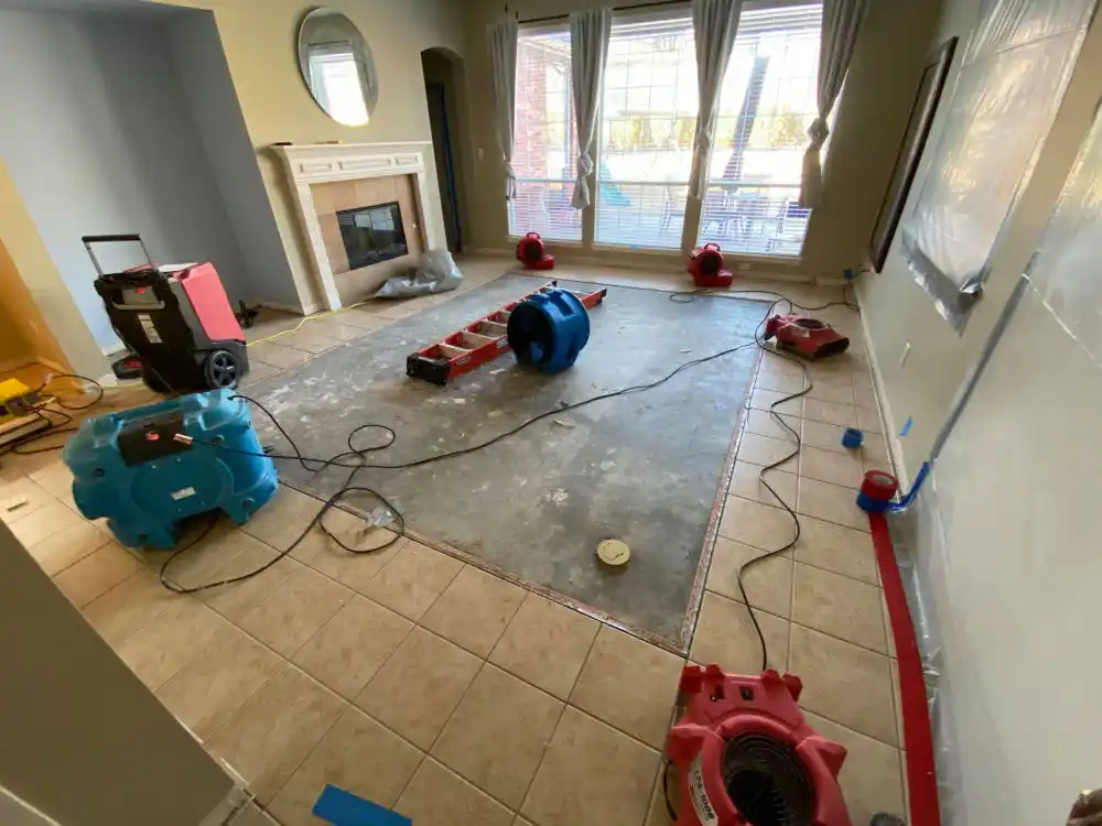 water damage restoration service Dunedin